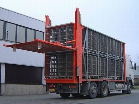 垂(chui)直升降汽(qì)車尾闆